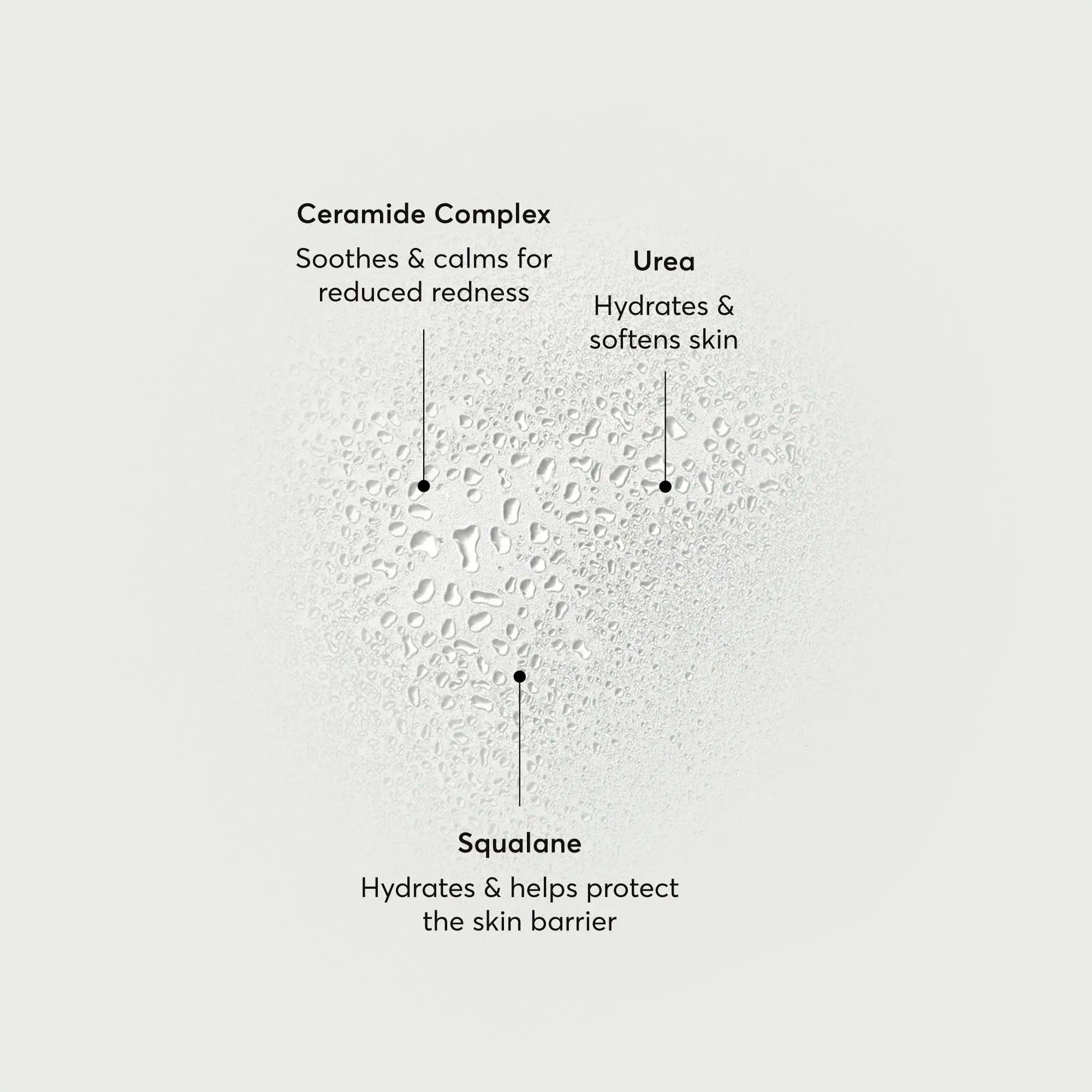 barrier-bounce-bi-phase-mist-l0 NATR-10167-Alt-Images-Barrier-Bounce-Bi-Phase-Toner-Mist_01.webp